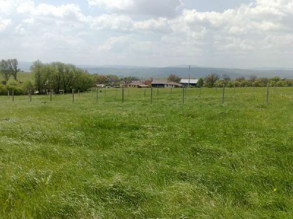 phoca_thumb_l_ter rov 2.jpg